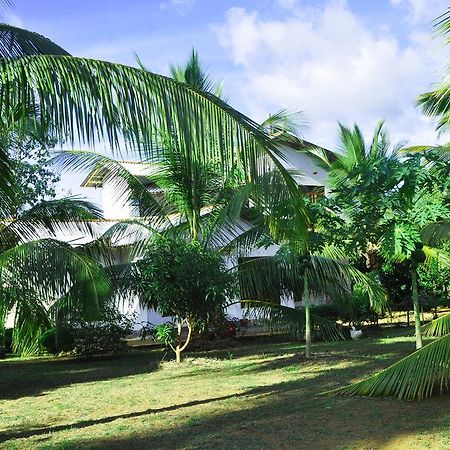 Coconut Garden House Ξενοδοχείο Udawalawe Εξωτερικό φωτογραφία