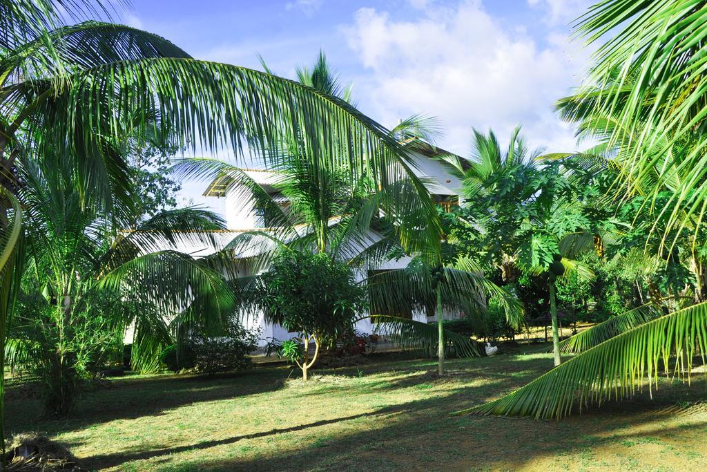 Coconut Garden House Ξενοδοχείο Udawalawe Εξωτερικό φωτογραφία