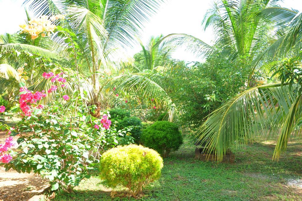 Coconut Garden House Ξενοδοχείο Udawalawe Εξωτερικό φωτογραφία