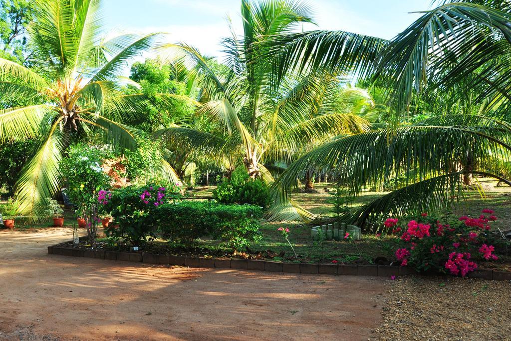 Coconut Garden House Ξενοδοχείο Udawalawe Εξωτερικό φωτογραφία