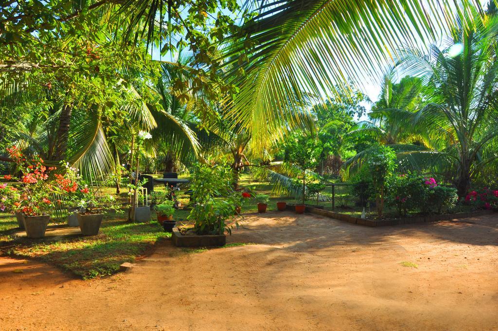 Coconut Garden House Ξενοδοχείο Udawalawe Εξωτερικό φωτογραφία