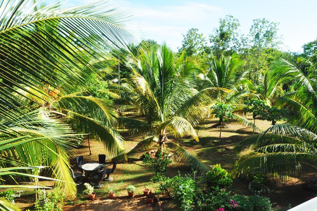 Coconut Garden House Ξενοδοχείο Udawalawe Εξωτερικό φωτογραφία